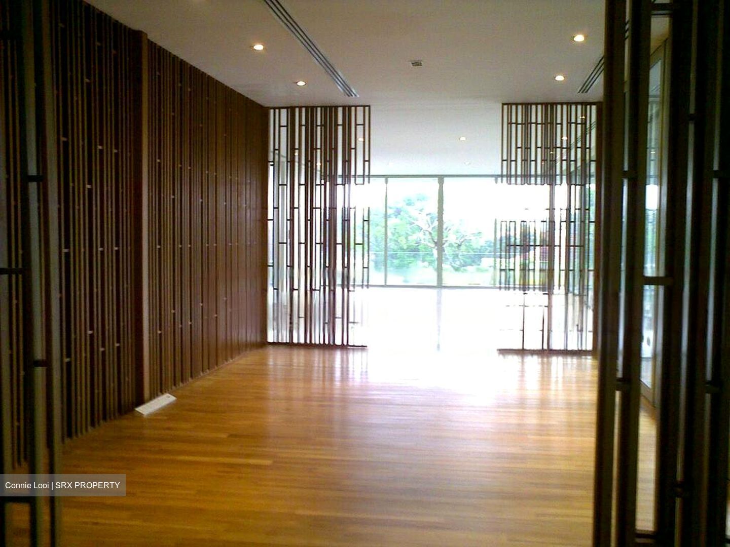 Shamrock Park (D10), Detached #477665461